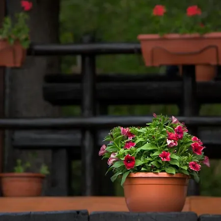 Tree House Gorski Lazi Jaktstuga Trsce