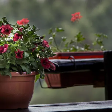 Lodge Tree House Gorski Lazi