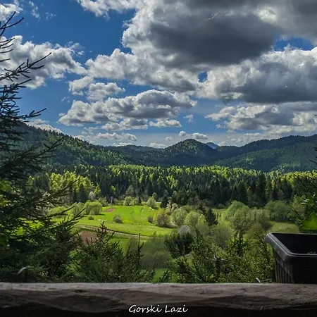 Tree House Gorski Lazi Lodge